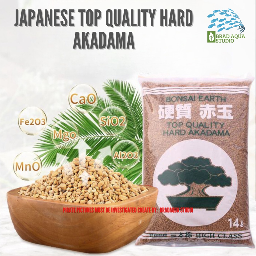 3-6mm Middle Akadama Clay Hard Nutrient soil 1000g - AliExpress