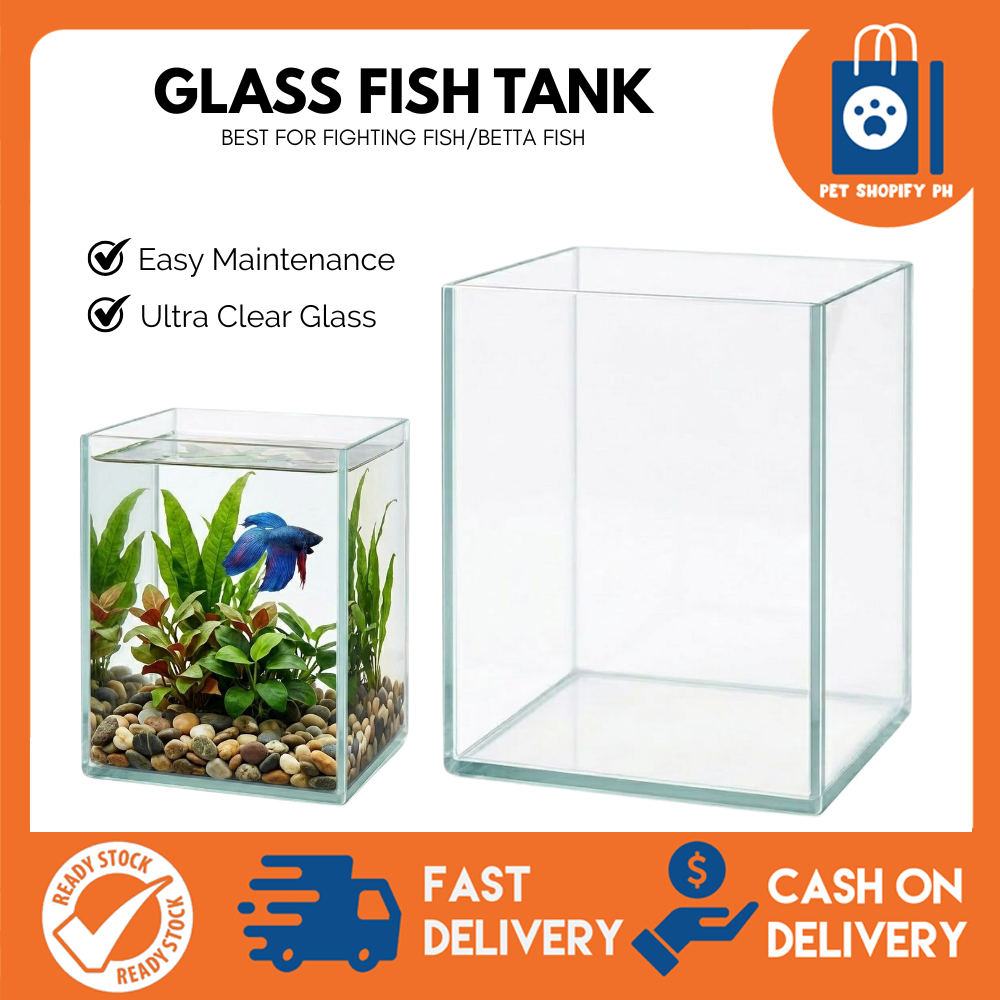 rimless cube aquarium Price & Voucher Oct 2026 | BigGo Philippines