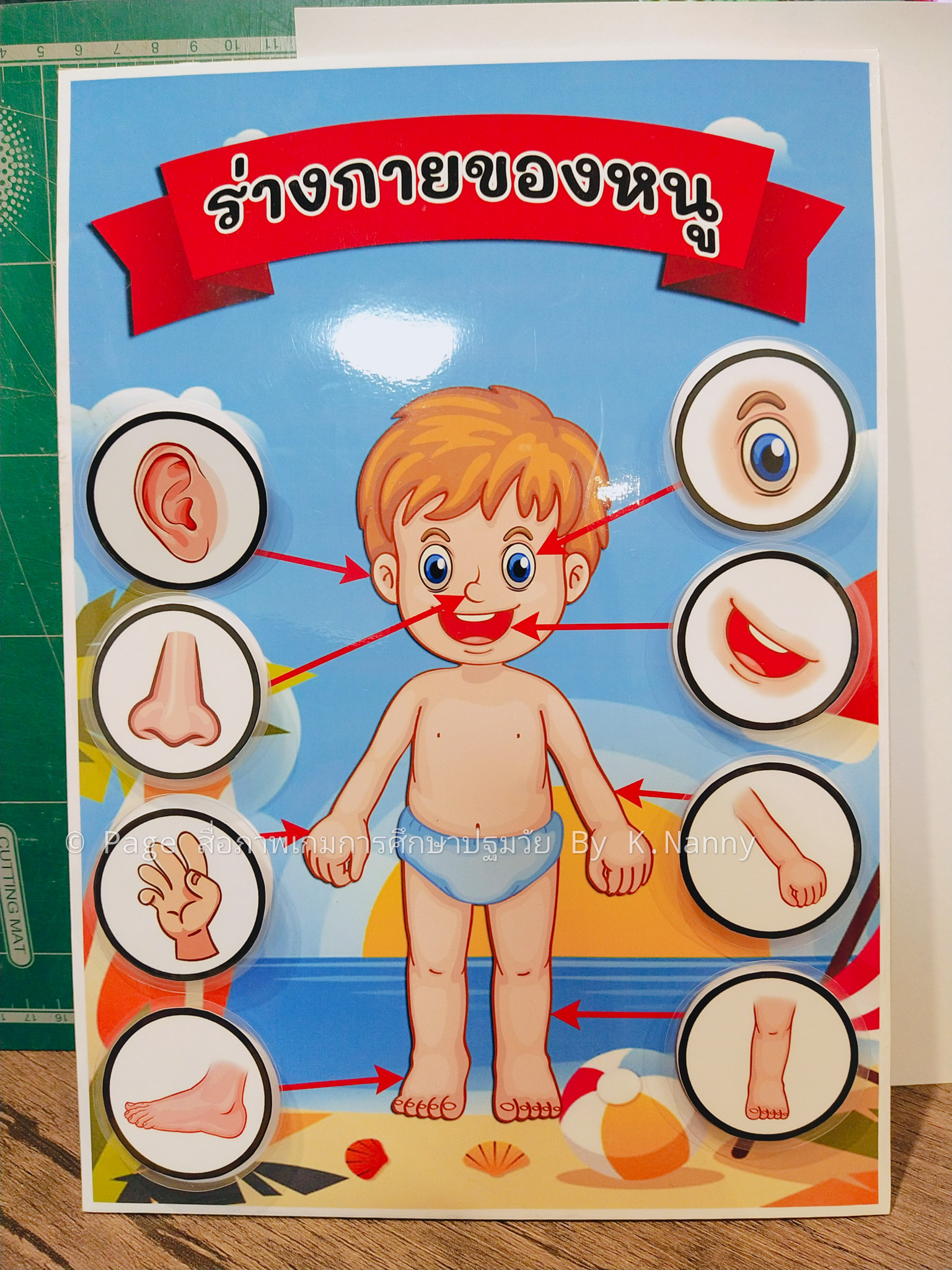 สื่อการสอนร่างกาย ถูกที่สุด พร้อมโปรโมชั่น ก.ค. 2023|BigGoเช็คราคาง่ายๆ