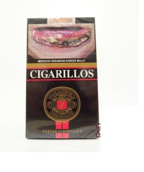 COHIBA Mini Cigarillos Cigars case Davidoff-Nicaraguan-Mini cigar