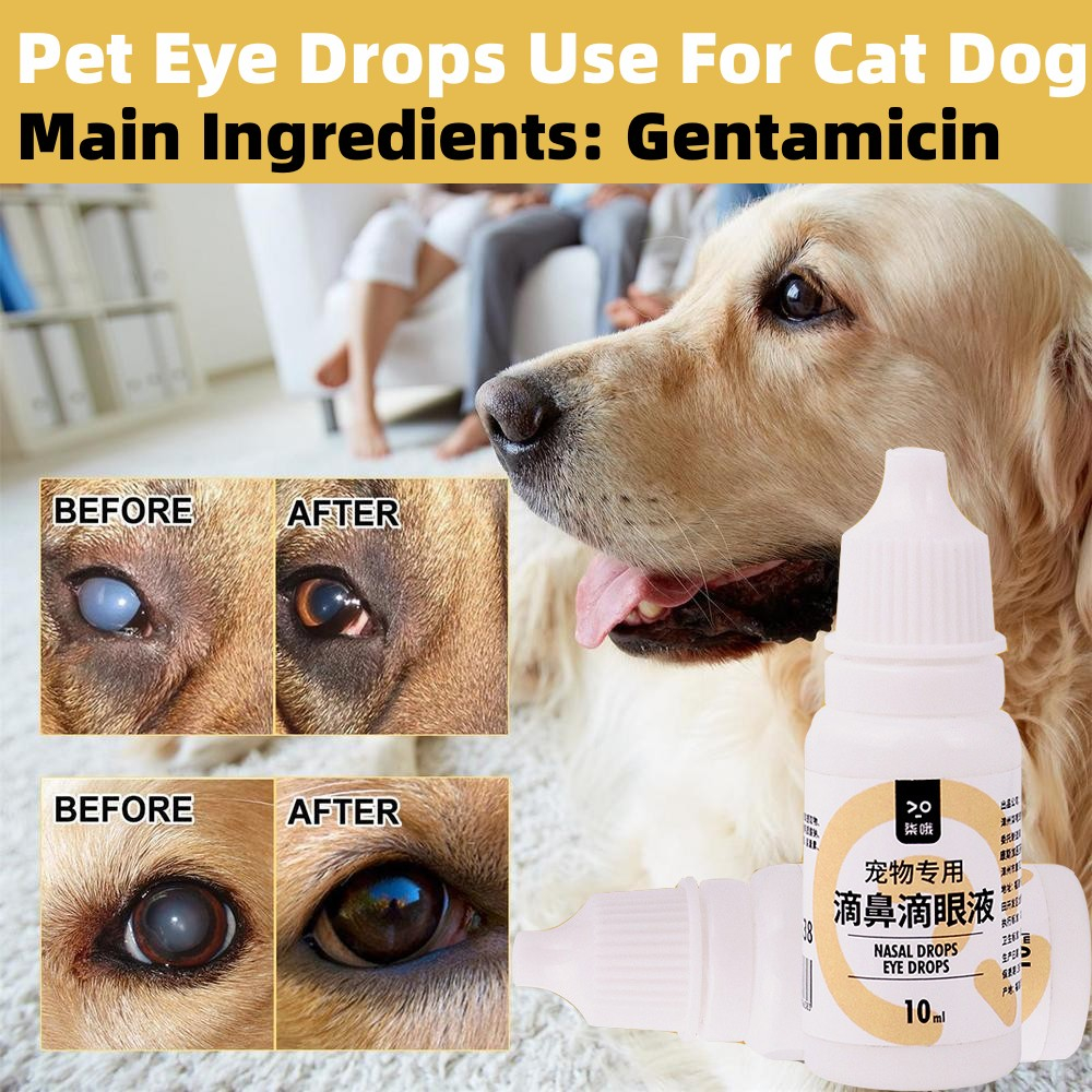 Gentamicin eye clearance drops for cats