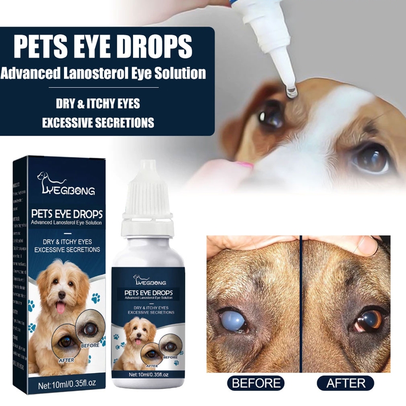 eye drops Price & Voucher Oct 2026 | BigGo Philippines