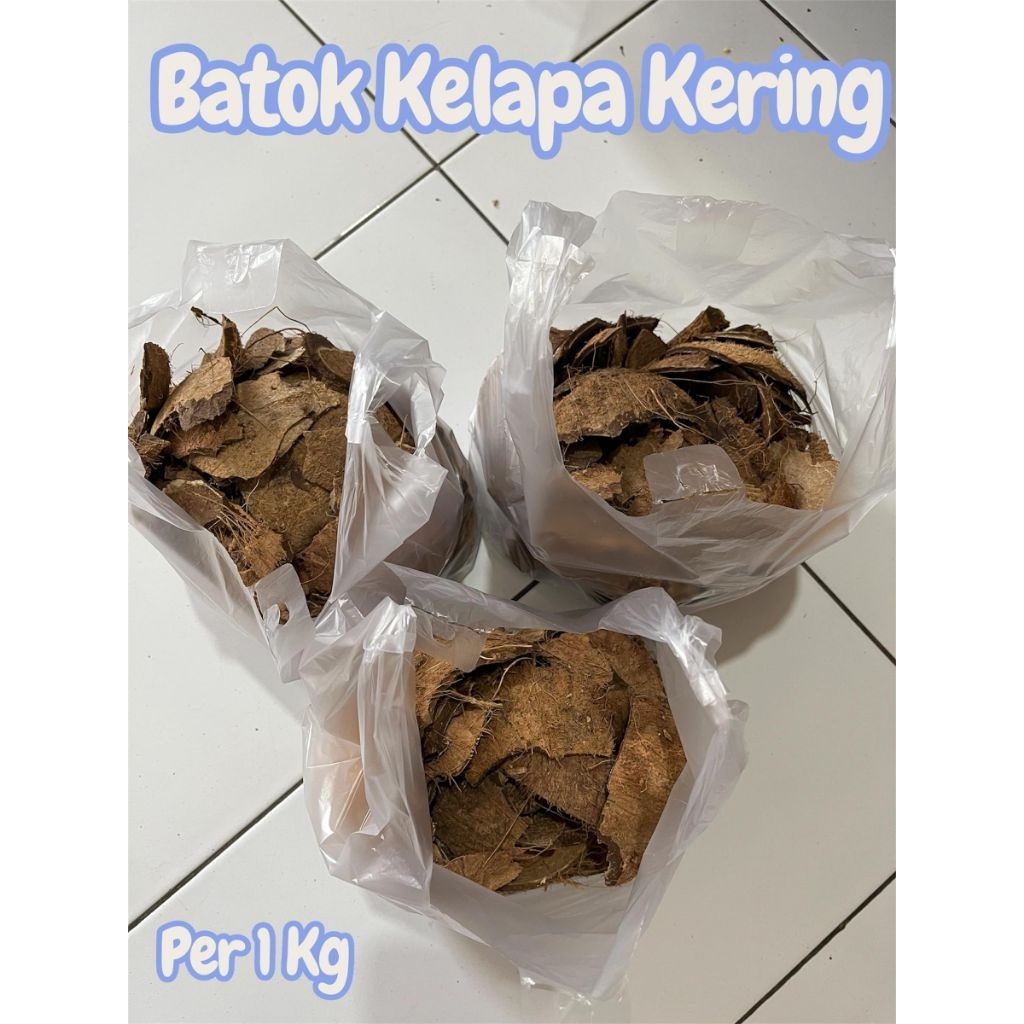 coconut shell price per kg Price & Voucher Oct 2026 | BigGo Philippines