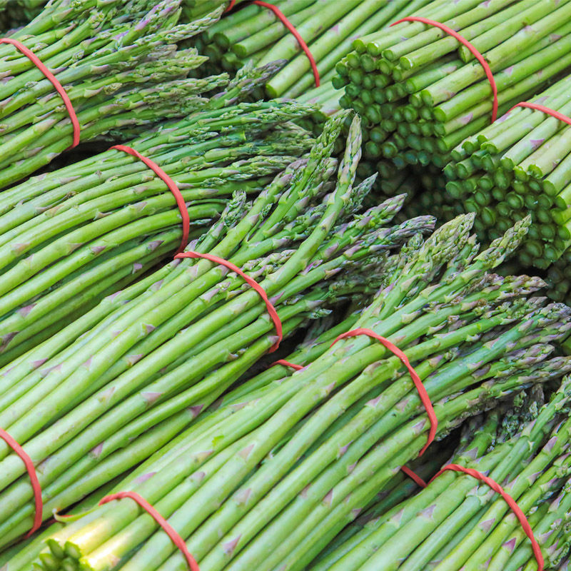 Asparagus Price & Voucher Feb 2023BigGo Philippines