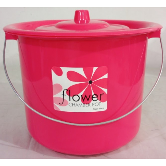 Arinola Chamber POT Price & Voucher Oct 2026 | BigGo Philippines