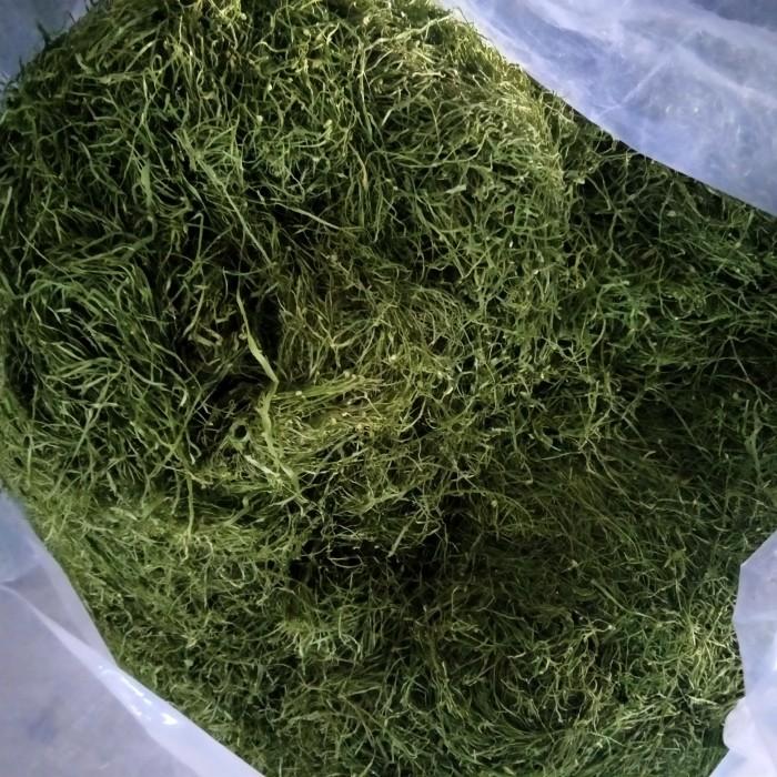 Harga 22449A Terbaru Maret 2024 |BigGo Indonesia