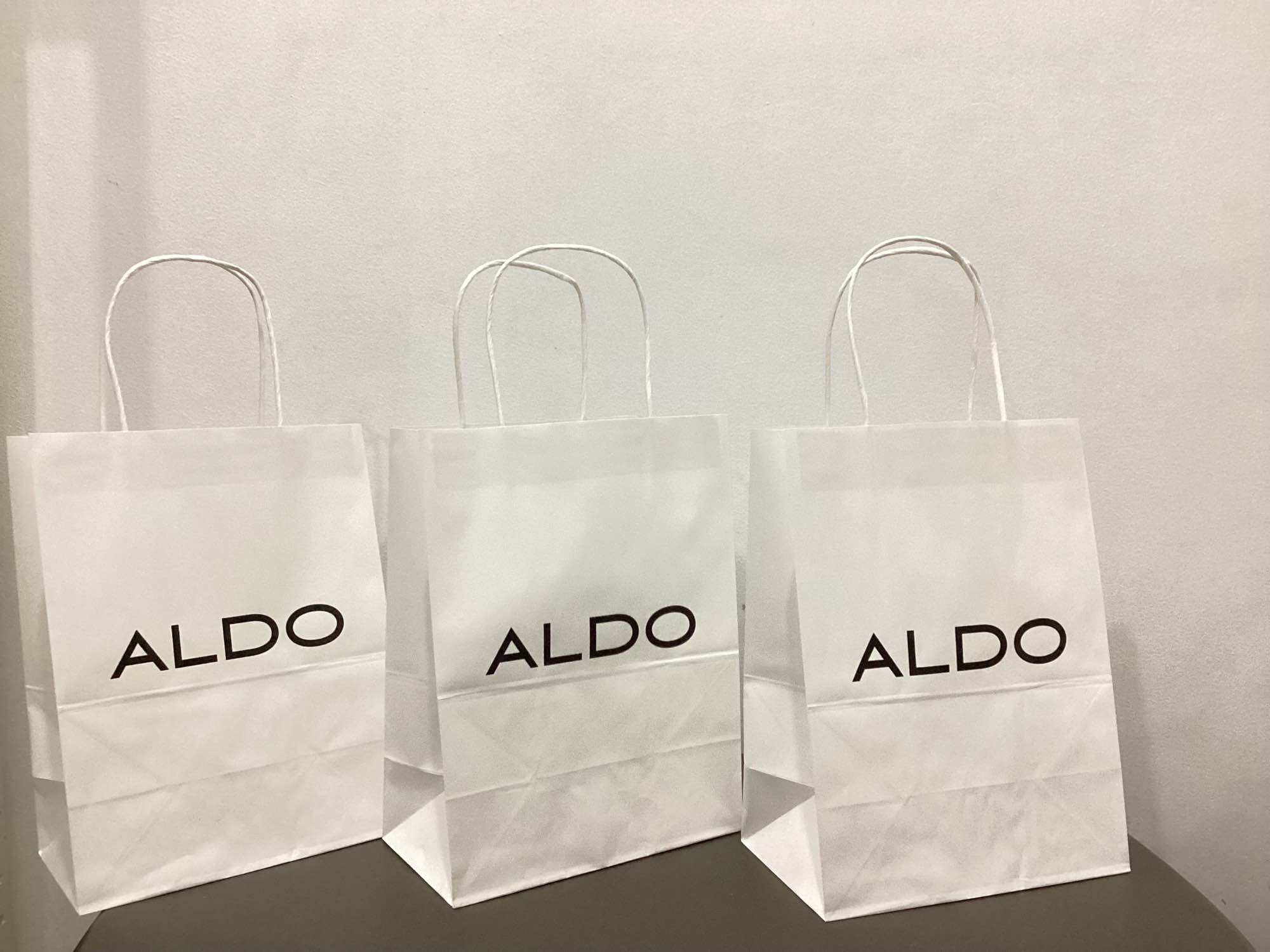 Aldo sales shopping bag