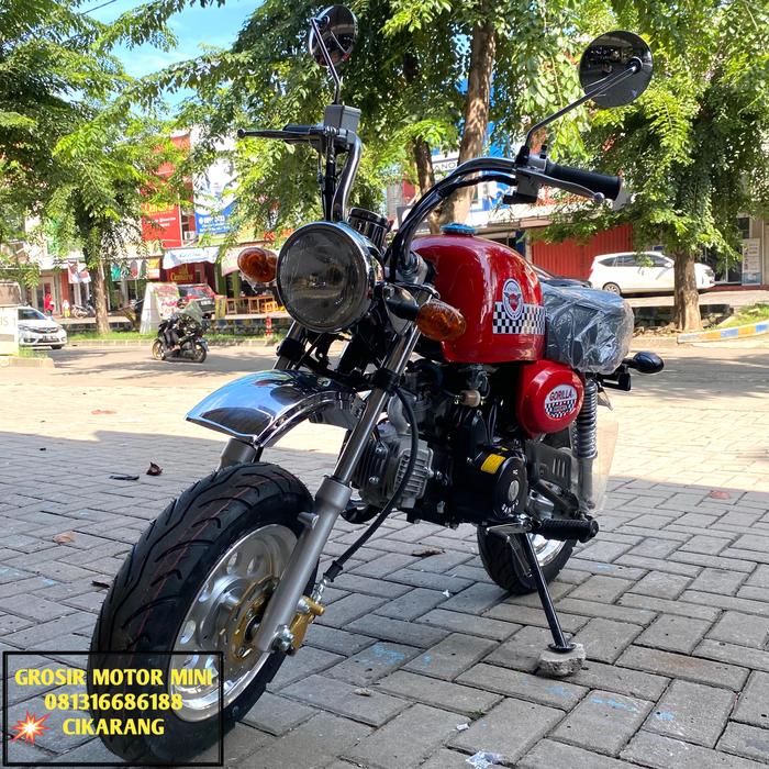 Harga Motor Trail Mini 125cc gorilla Terbaru Februari 2024 BigGo