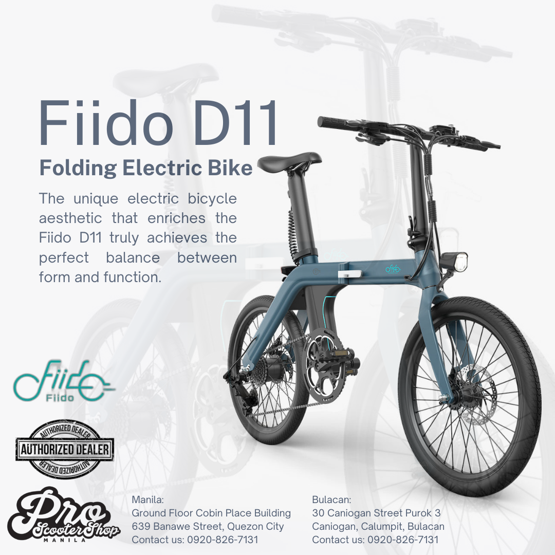 Fiido d11 online accessories